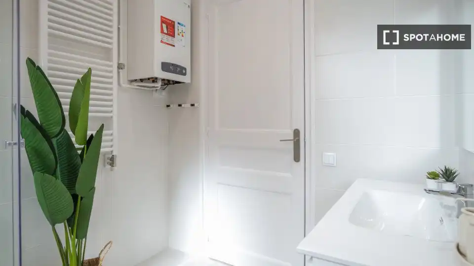 Bany de Pis per a compartir en Barcelona amb Aire condicionat, Calefacció i Moblat