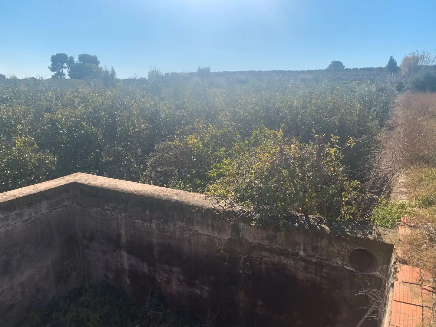 Land for sale in Picassent