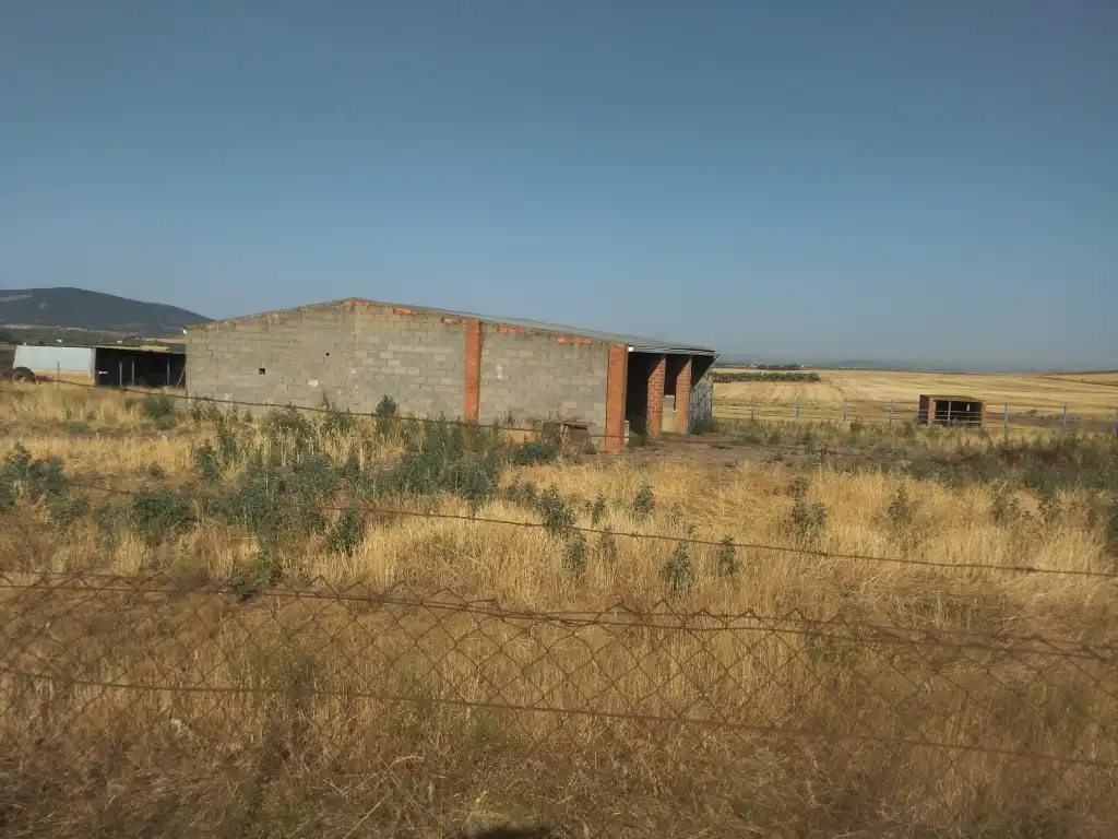 Terreni e lotti in vendita a La Haba, imagen 13