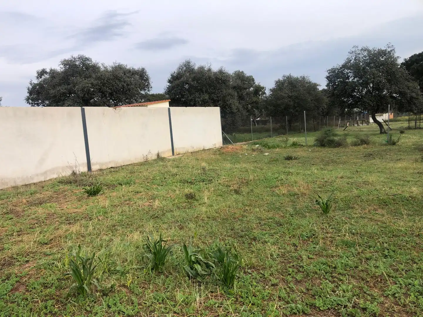 Terreno en venta en Pedanías de Badajoz