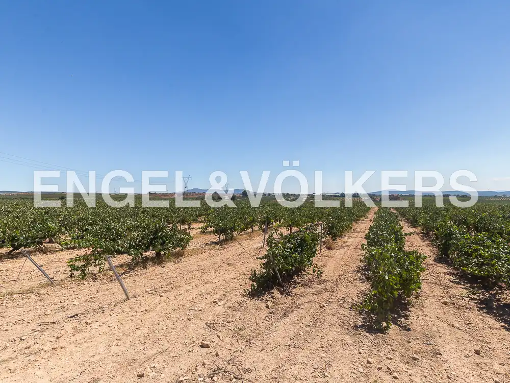 Houses for sale in Requena  with Heating, Private garden and Terrace