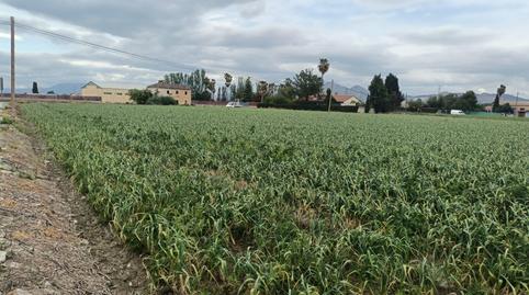 Photo 4 of Land for sale in  Polígono 8 Parcela 1 P Bajo. Vegas del Genil (gra, Purchil, Granada