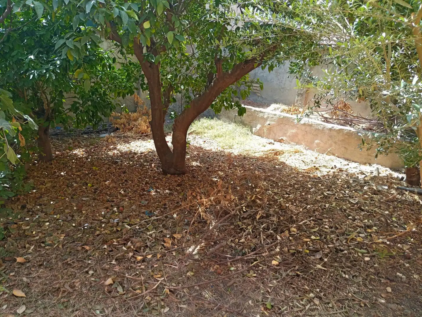 House with garden for sale in Pedanías Oeste, imagen 9