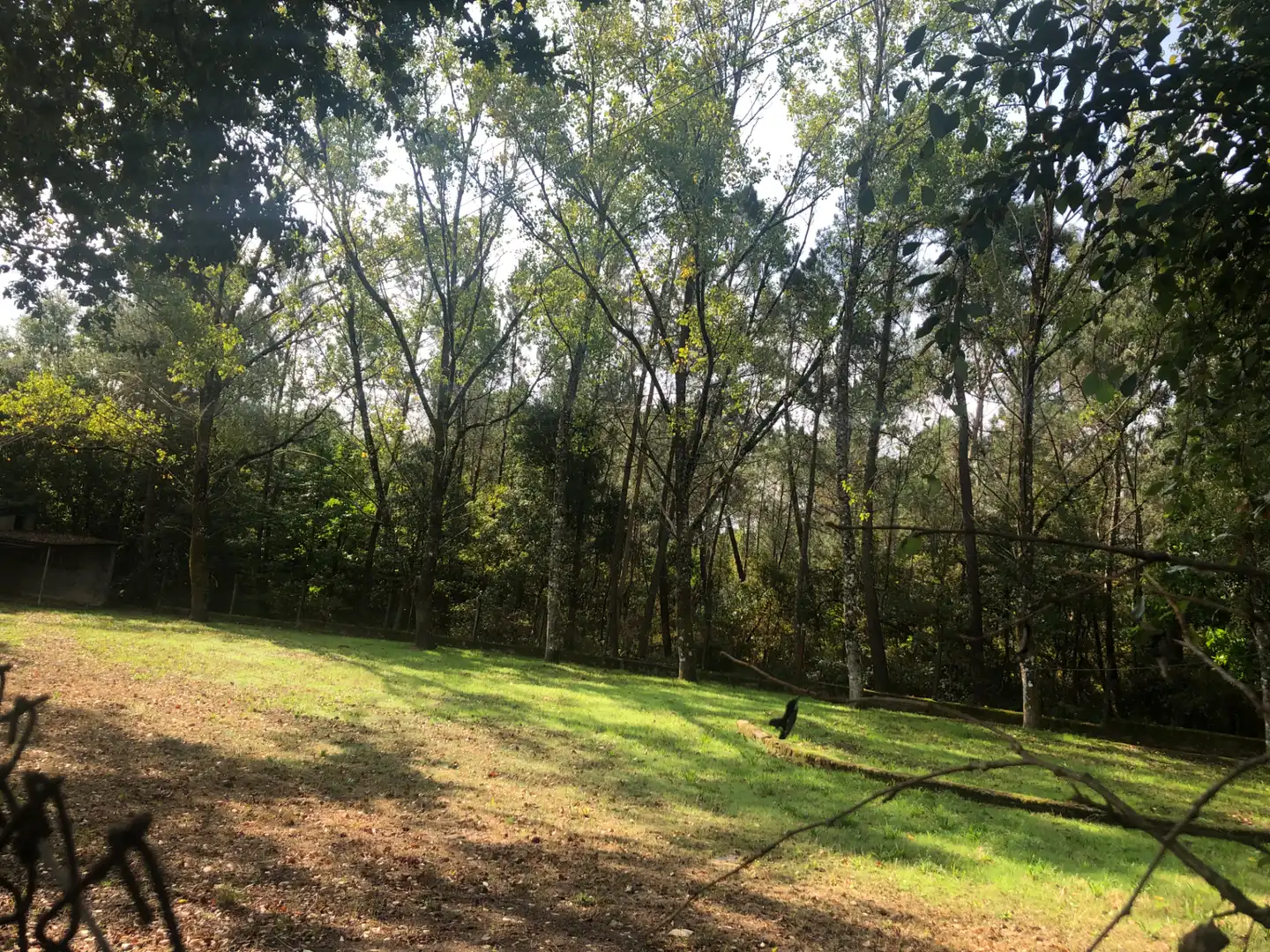 Casa o chalet en venta en Lugar Besada, 45, Boborás