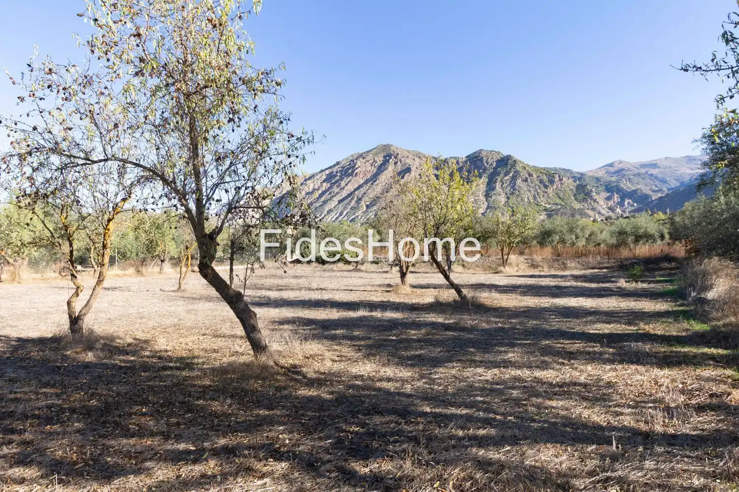 Rural land for sale in XFC2+95P Acequias 0, imagen 4
