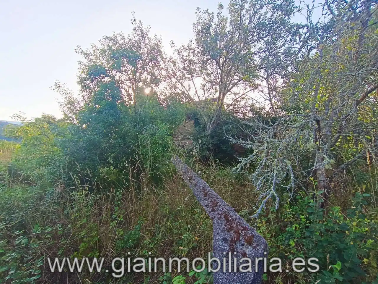 Casa en venta en Calle Ceo, imagen 8