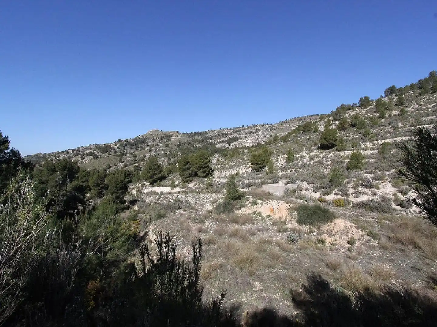 Chalet en venta en Petrer, imagen 14