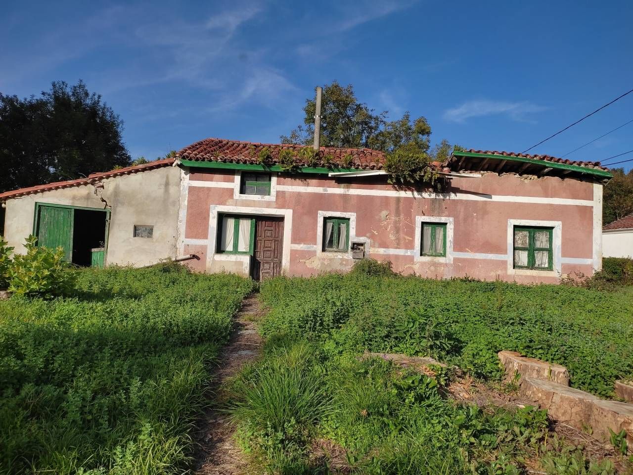 Exterior view of House or chalet for sale in Solórzano  with Private garden
