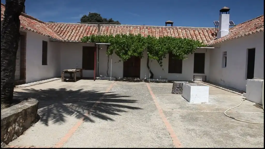 Vista exterior de Finca rústica en venta en Almodóvar del Río con Jardín privado