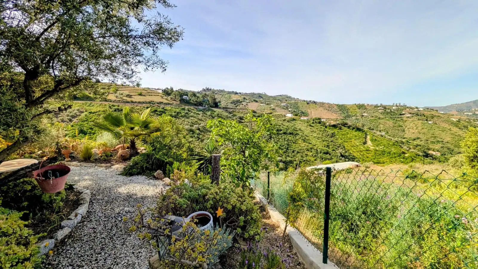Jardín de Casa o chalet en venta en Cómpeta con Jardín privado