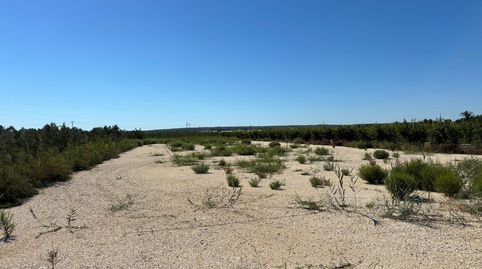 Foto 5 de Terreny en venda a La Foia - Daimés - Asprella, Elche / Elx