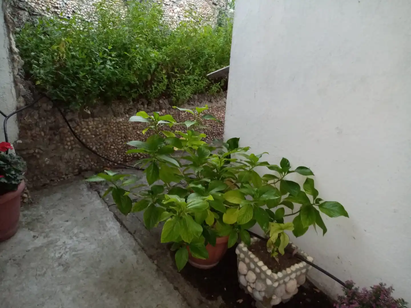 Terrassa de Casa o xalet en venda en Íscar amb Calefacció, Jardí privat i Terrassa