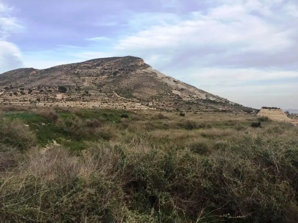 Terreny rústic en venda a Novelda
