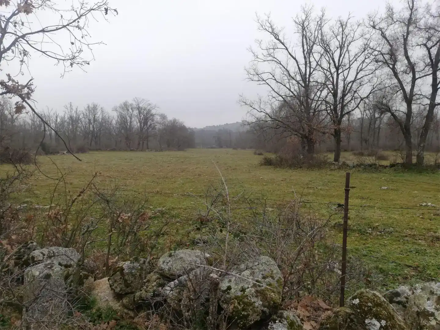 Terreno en venta en Bustarviejo