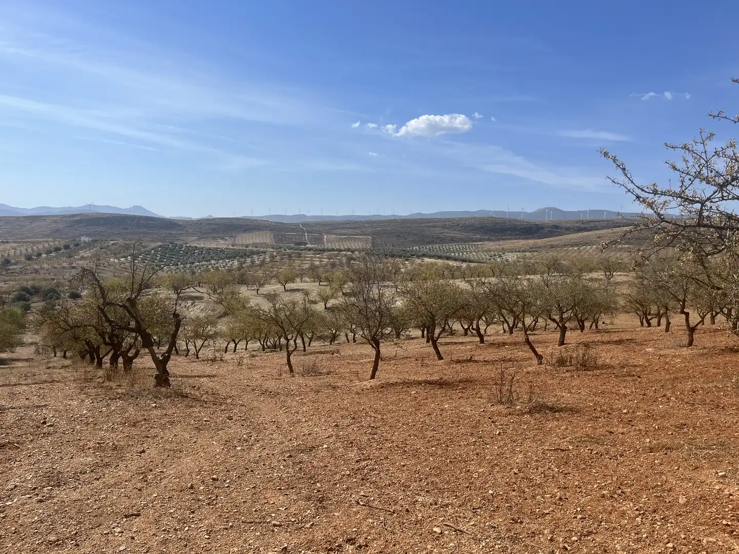 Rustikales Grundstück zum Verkauf in Avenida de Andalucía, imagen 2
