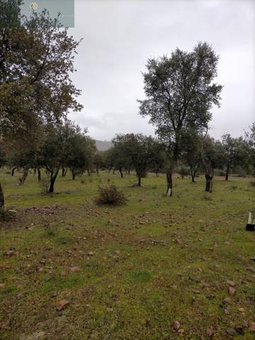 Finca rústica en Venta en La Nava de Santiago