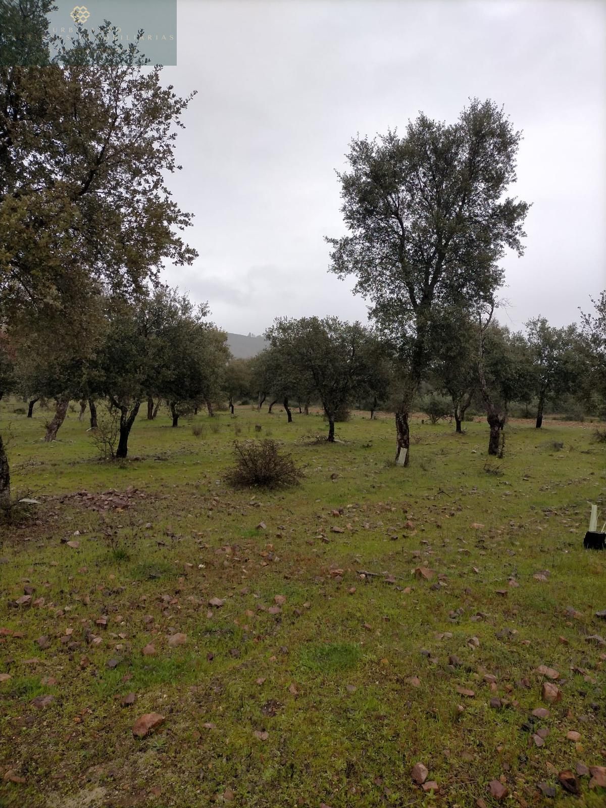 Finca rústica en venda en La Nava de Santiago  amb Piscina