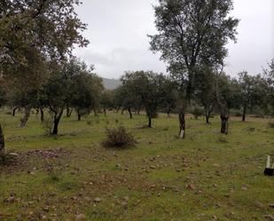 Finca rústica en venda en La Nava de Santiago  amb Piscina