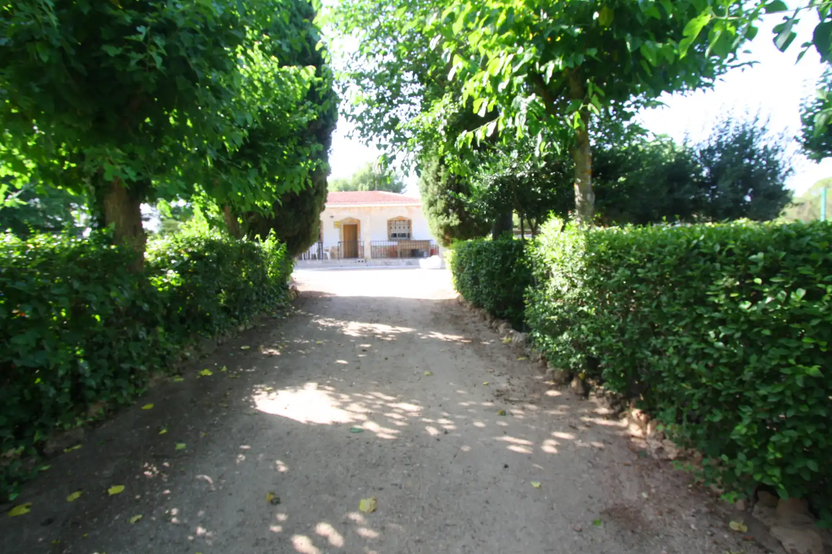 Vista exterior de Casa o xalet en venda en Albacete amb Aire condicionat, Jardí privat i Terrassa