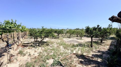 Photo 3 of Country homes for sale in N/a, -1, La Marina, Elche / Elx
