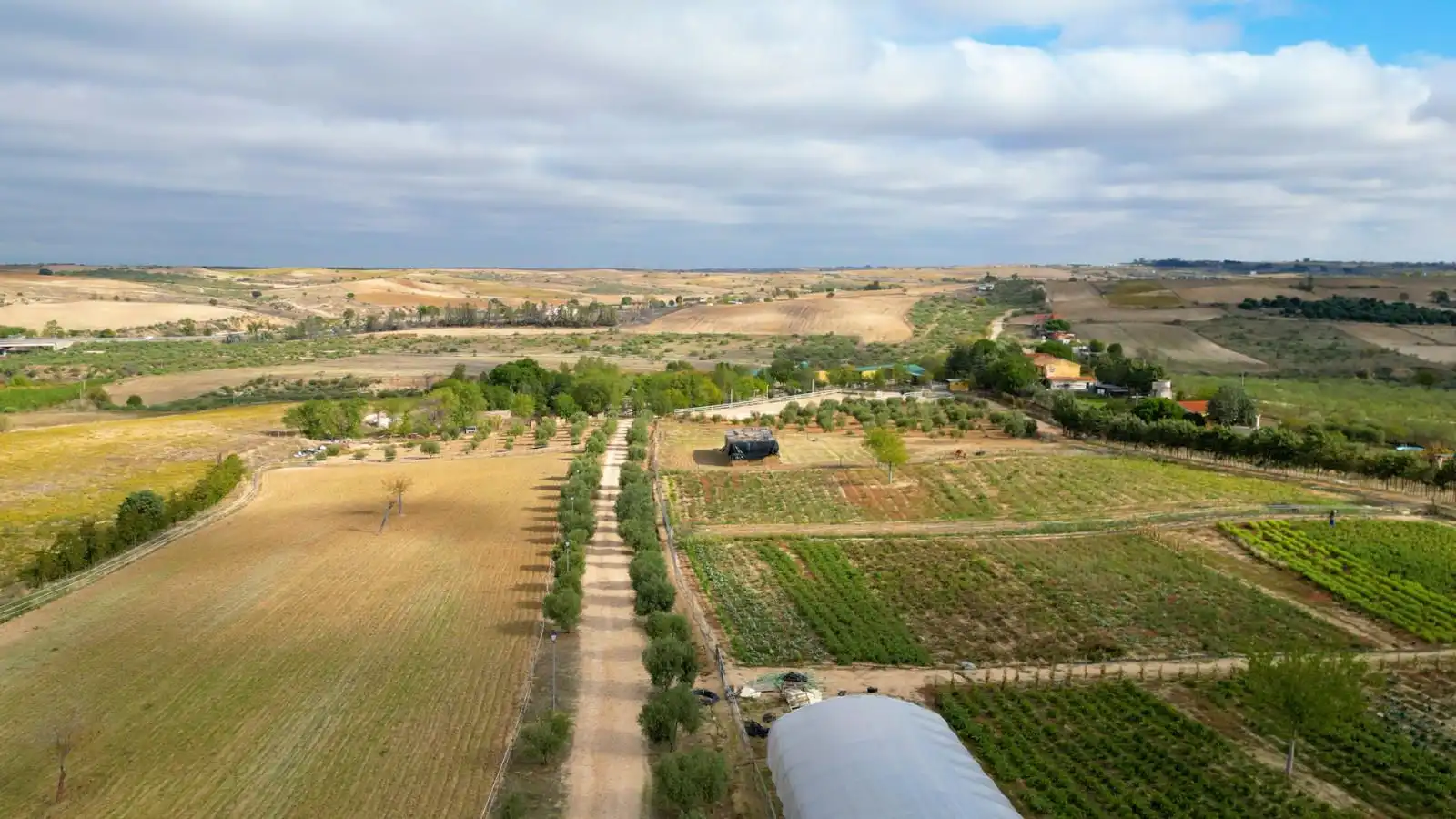 Grundstücke zum Verkauf in Olivares, Batres