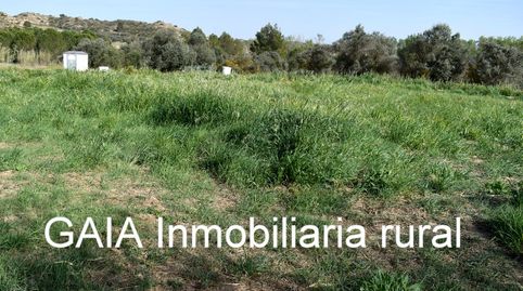 Immagine 5 dell'annuncio