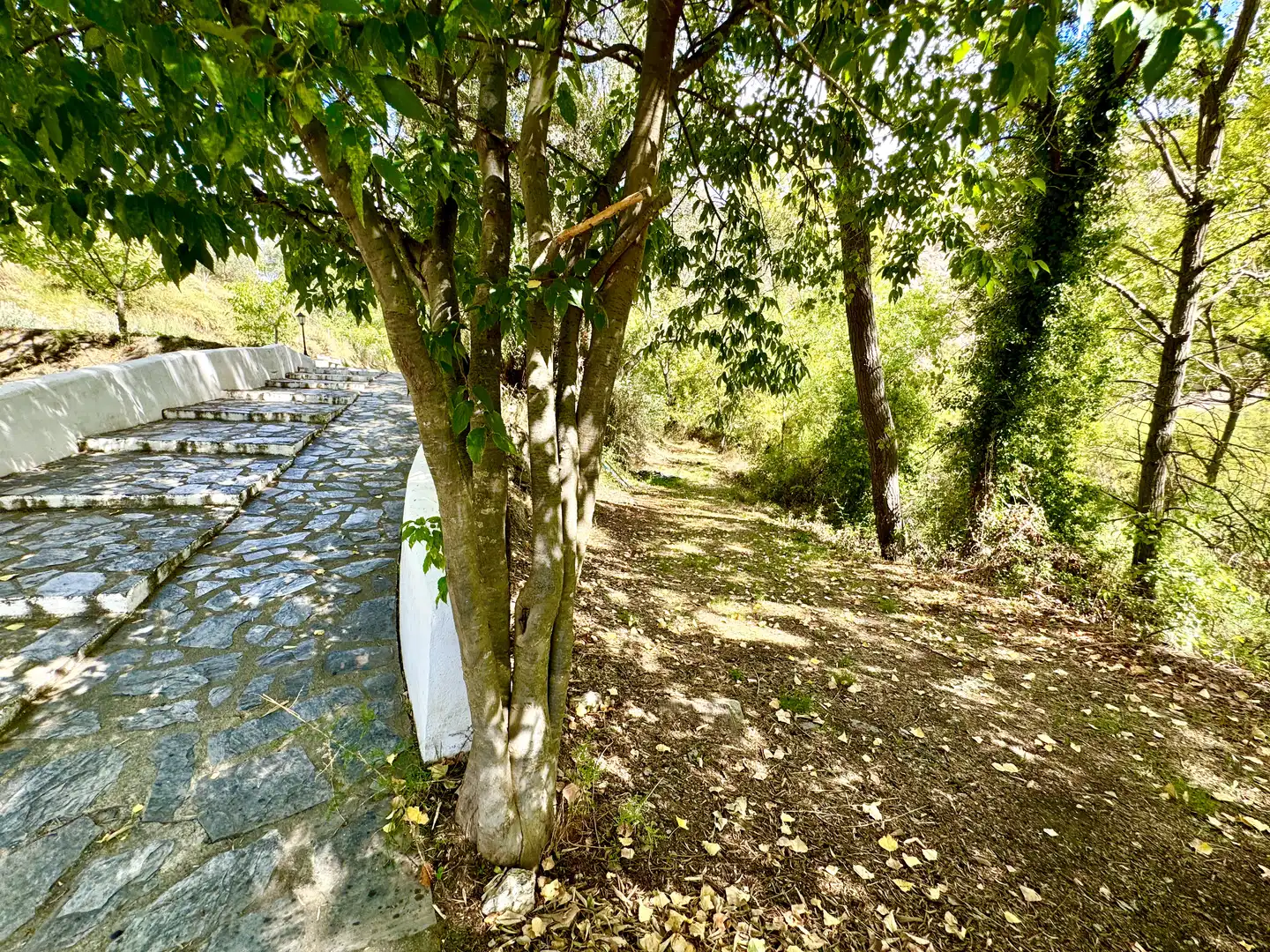 Vista exterior de Terreno en venta en Alpujarra de la Sierra