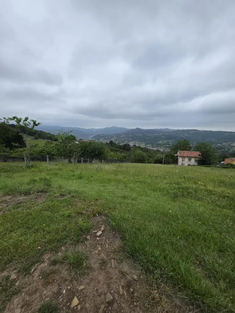 Residential land for sale in Ciaño - Zona Rural