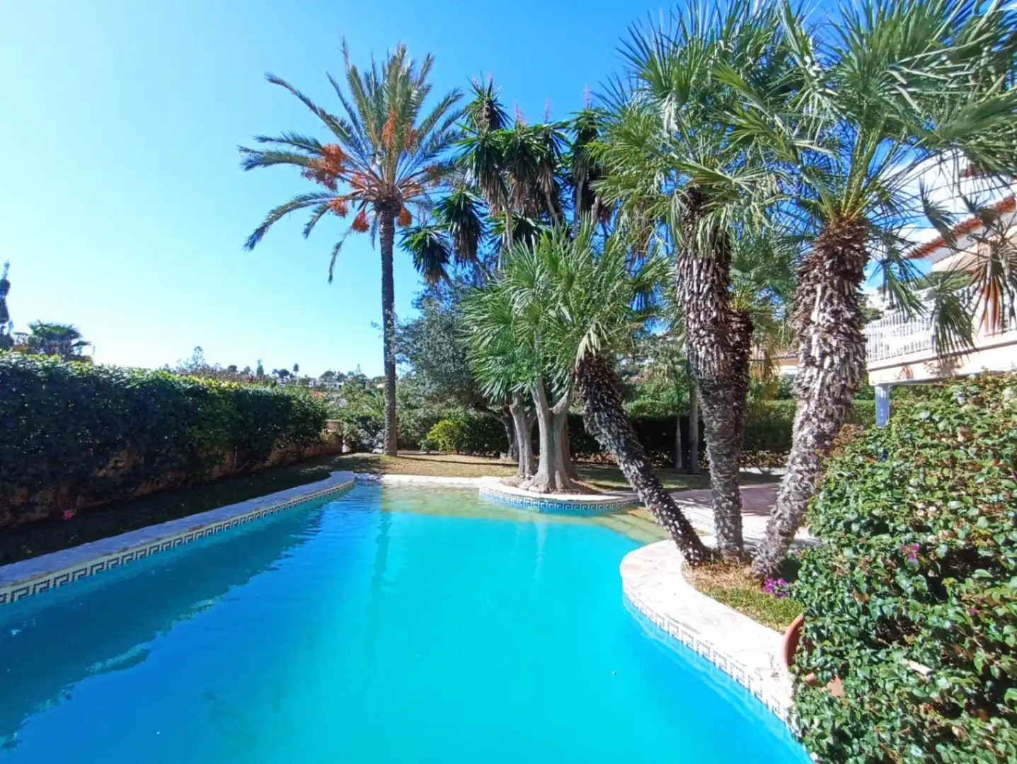 Villa con piscina in vendita a Pinar del Advocat - Cometa, imagen 5