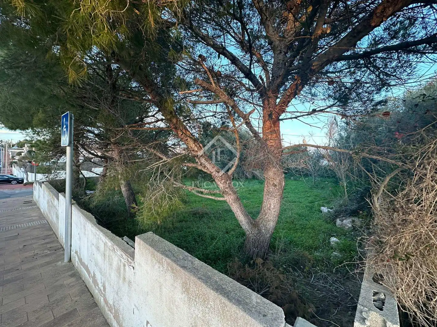 Terreno rustico in vendita a Cala en Porter, imagen 6