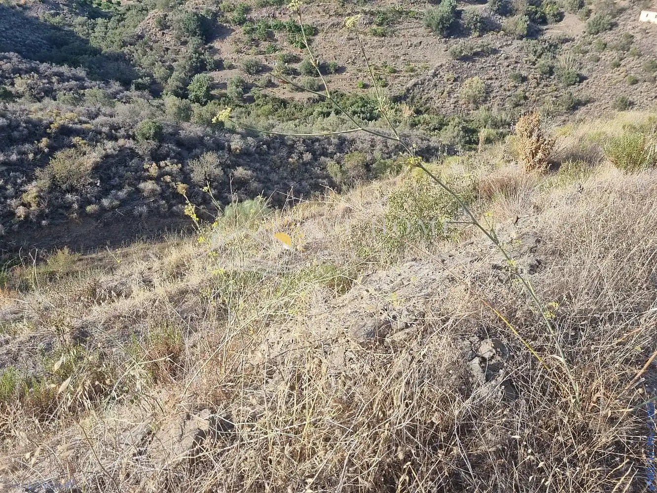 Maison à vendre à Torrox Pueblo, imagen 17
