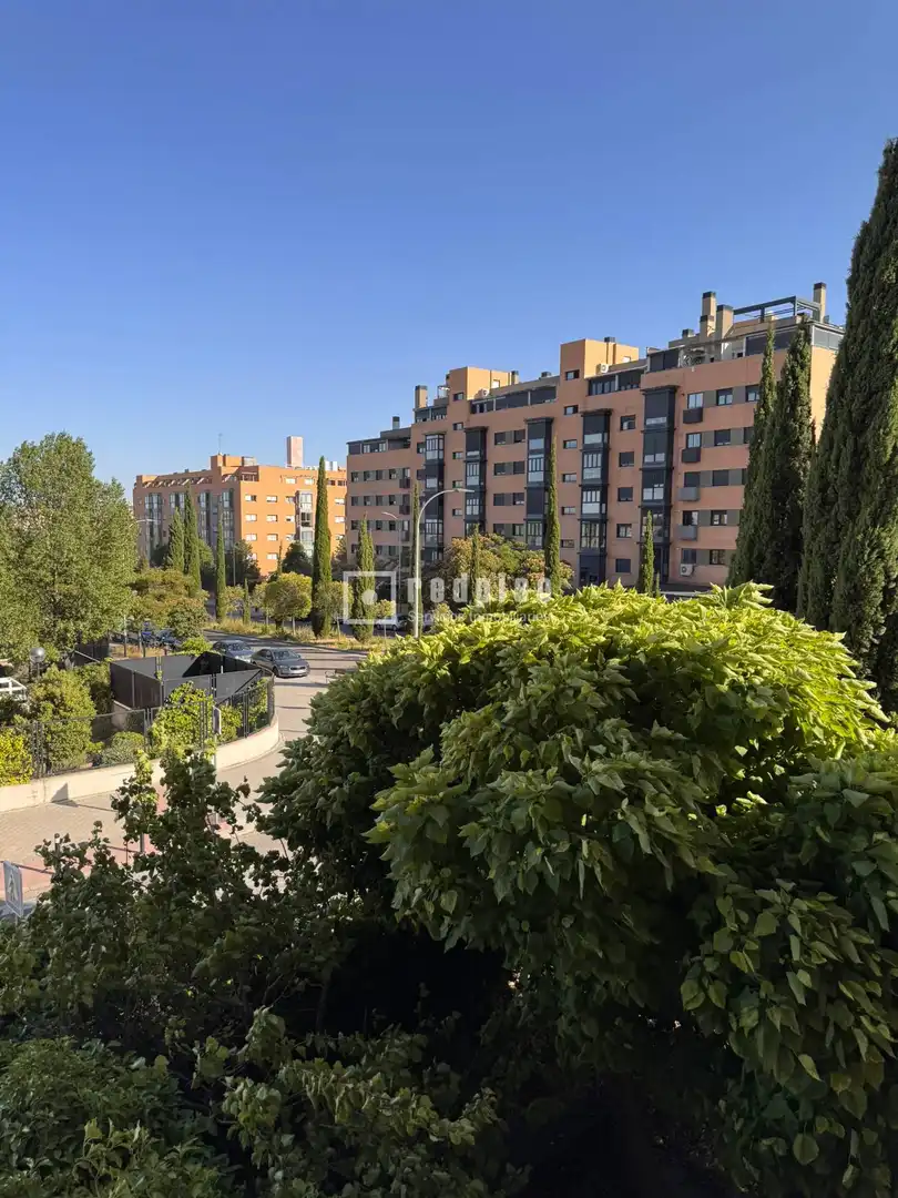 Piso con piscina en venta en de Isabel Clara Eugenia, imagen 23