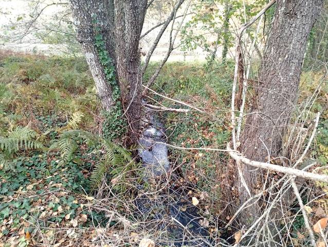 Terreno en Venta en Viandar de la Vera