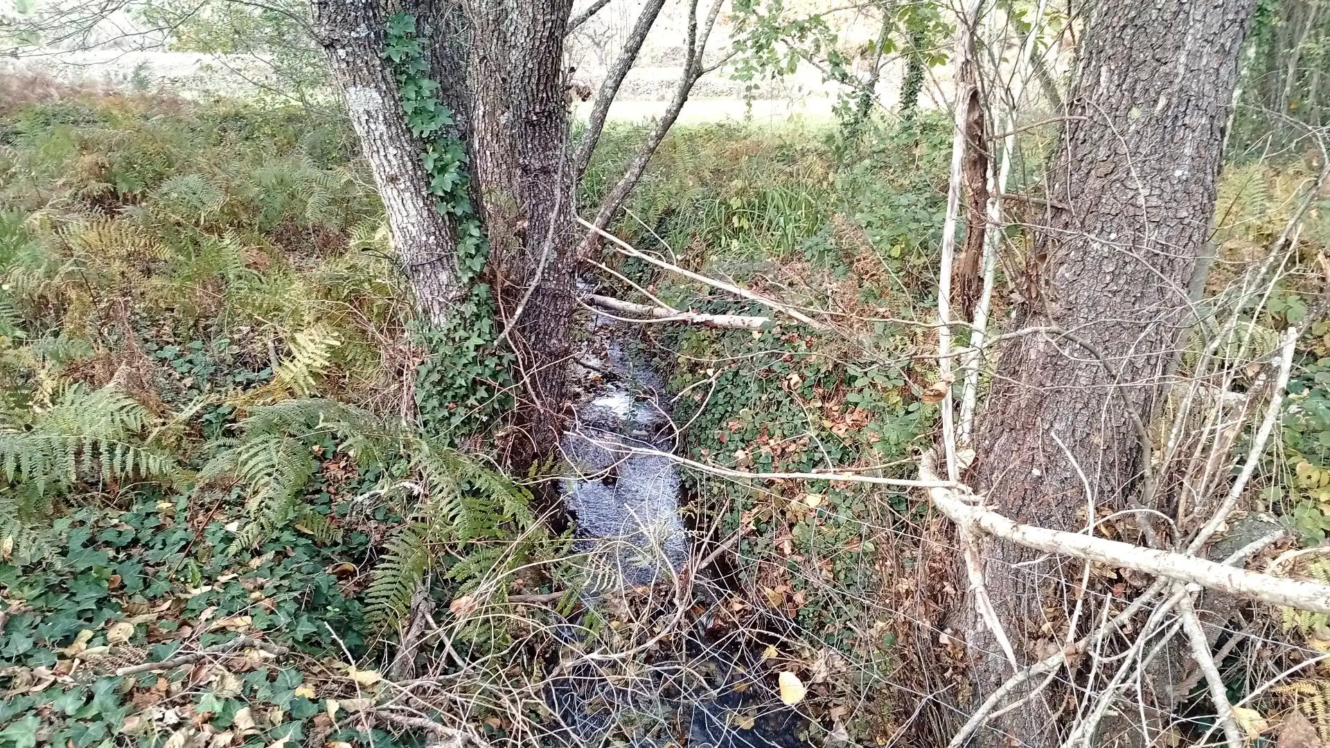 Terreno en venta en Viandar de la Vera
