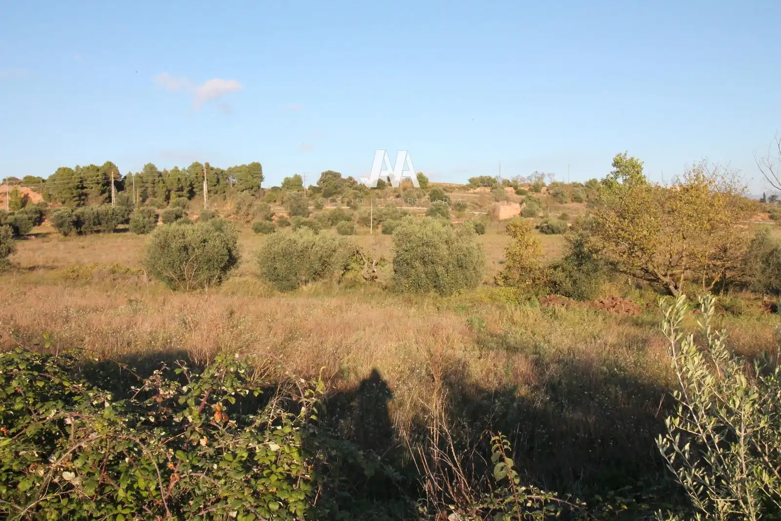 Xalet amb jardí en venda a Jorba, imagen 11