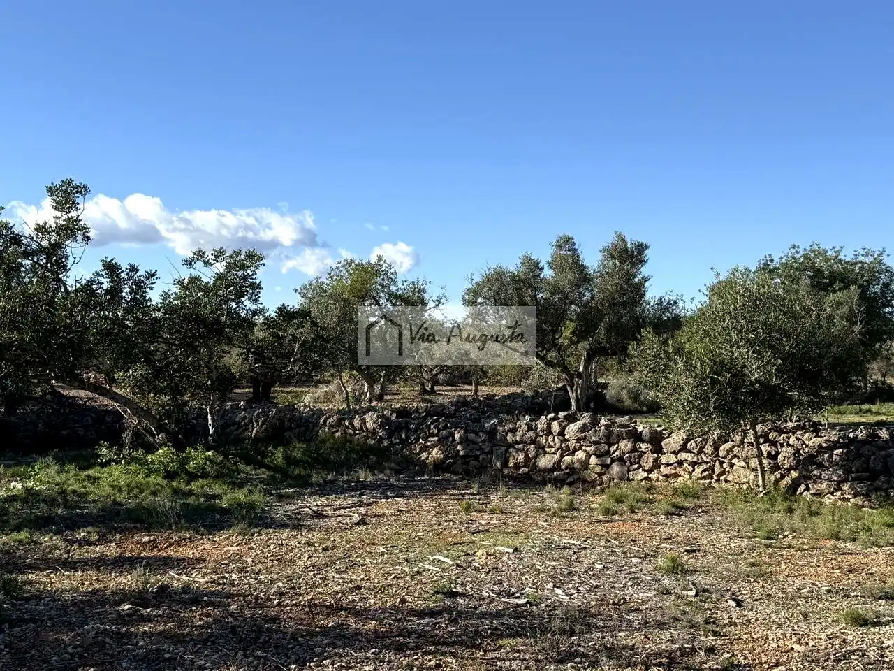 Terrenos y solares en venta en Arrivesando, imagen 5