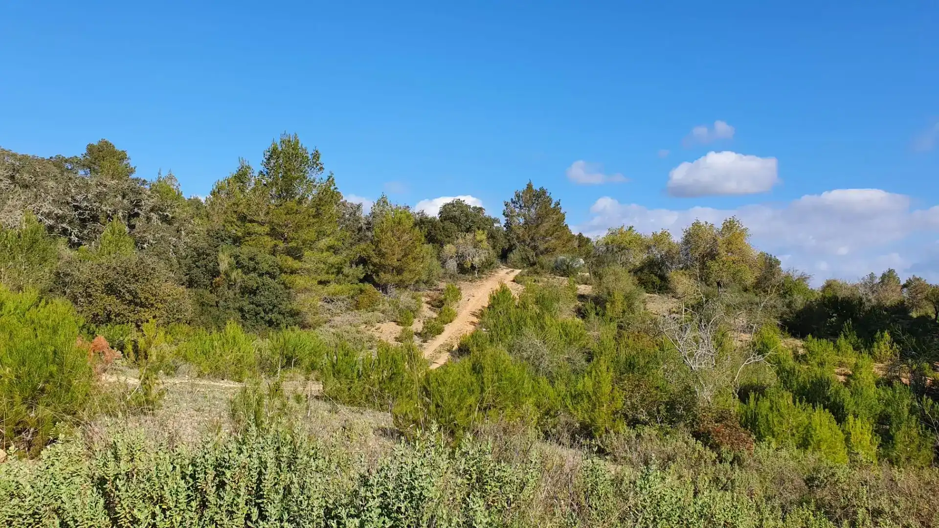 Terreny en venda en Costitx