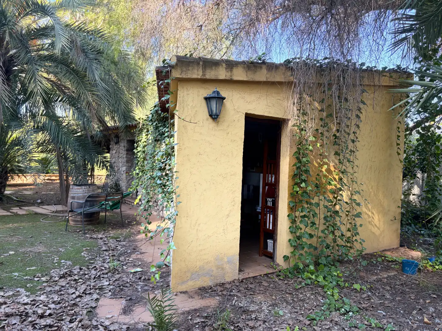 Lands and plots for sale in Abanilla, imagen 3