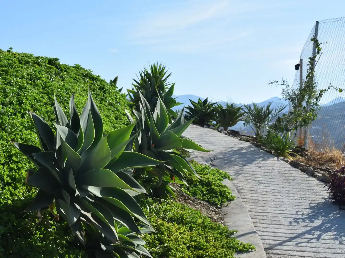Jardín de Casa o chalet de alquiler en Algarrobo con Aire acondicionado, Jardín privado y Trastero