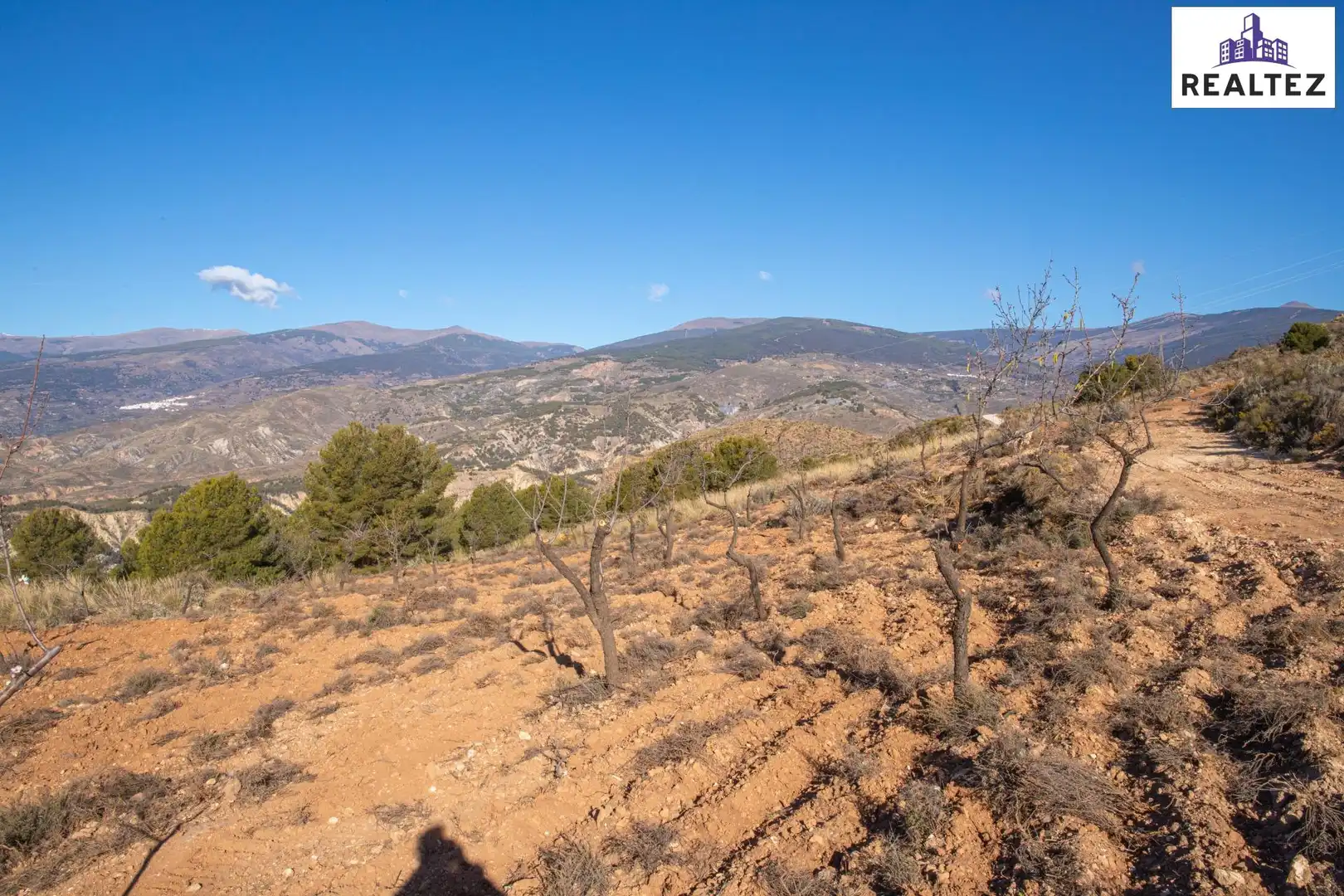 Terrain rustique à vendre à Alcolea, imagen 6