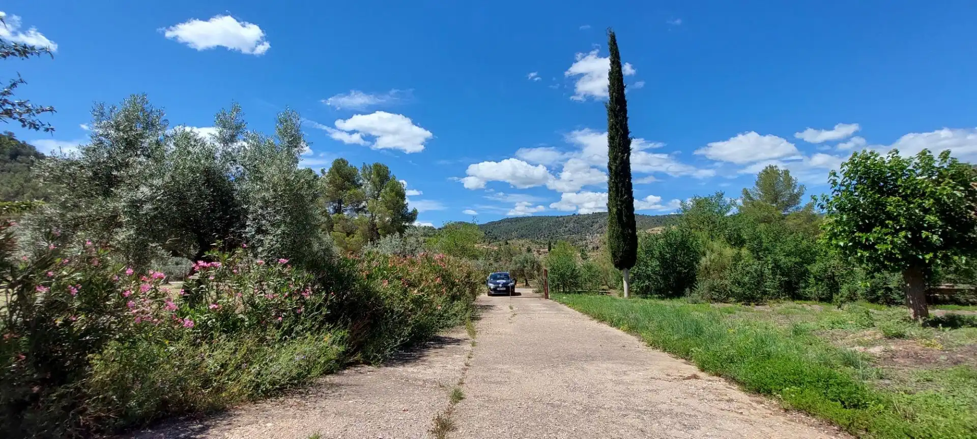 Vista exterior de Finca rústica en venta en Nerpio con Jardín privado, Terraza y Amueblado