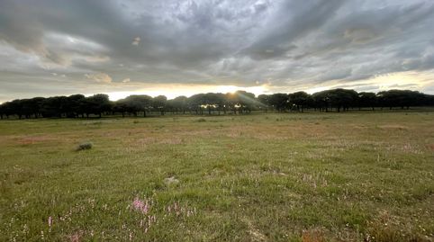 Panaderos Valladolid Inmobiliaria, Parcela de labor en Foncastin en venta de 36,1Ha., immagine 5