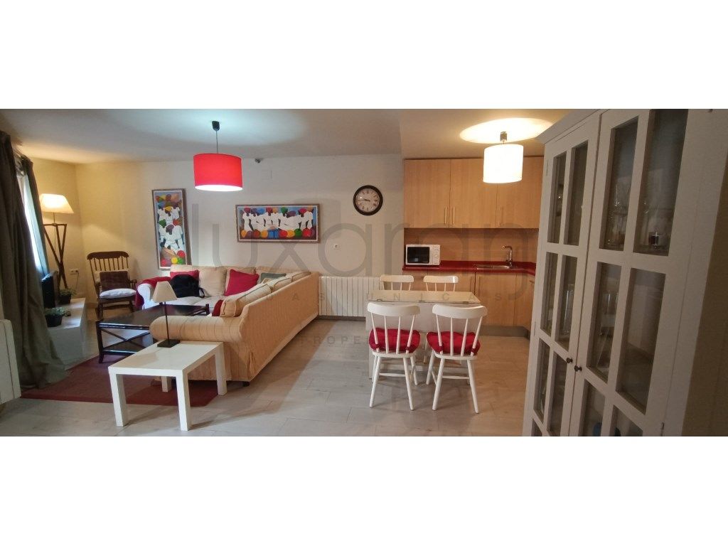 Sala d'estar de Apartament de lloguer en Naut Aran