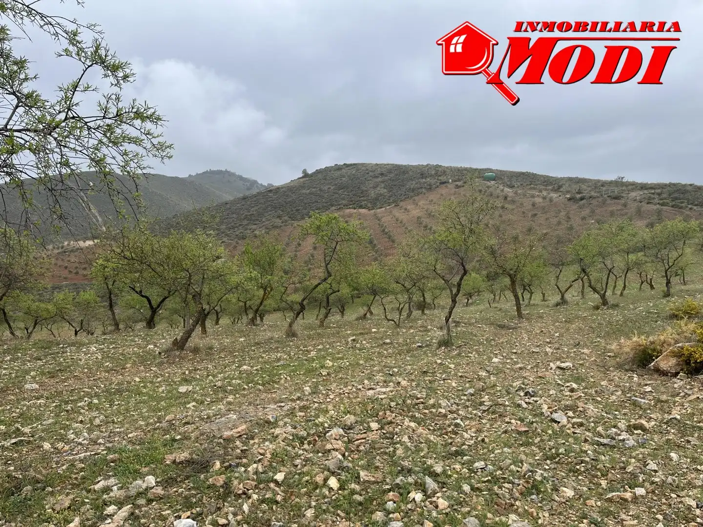 Residencial en venta en Albuñuelas