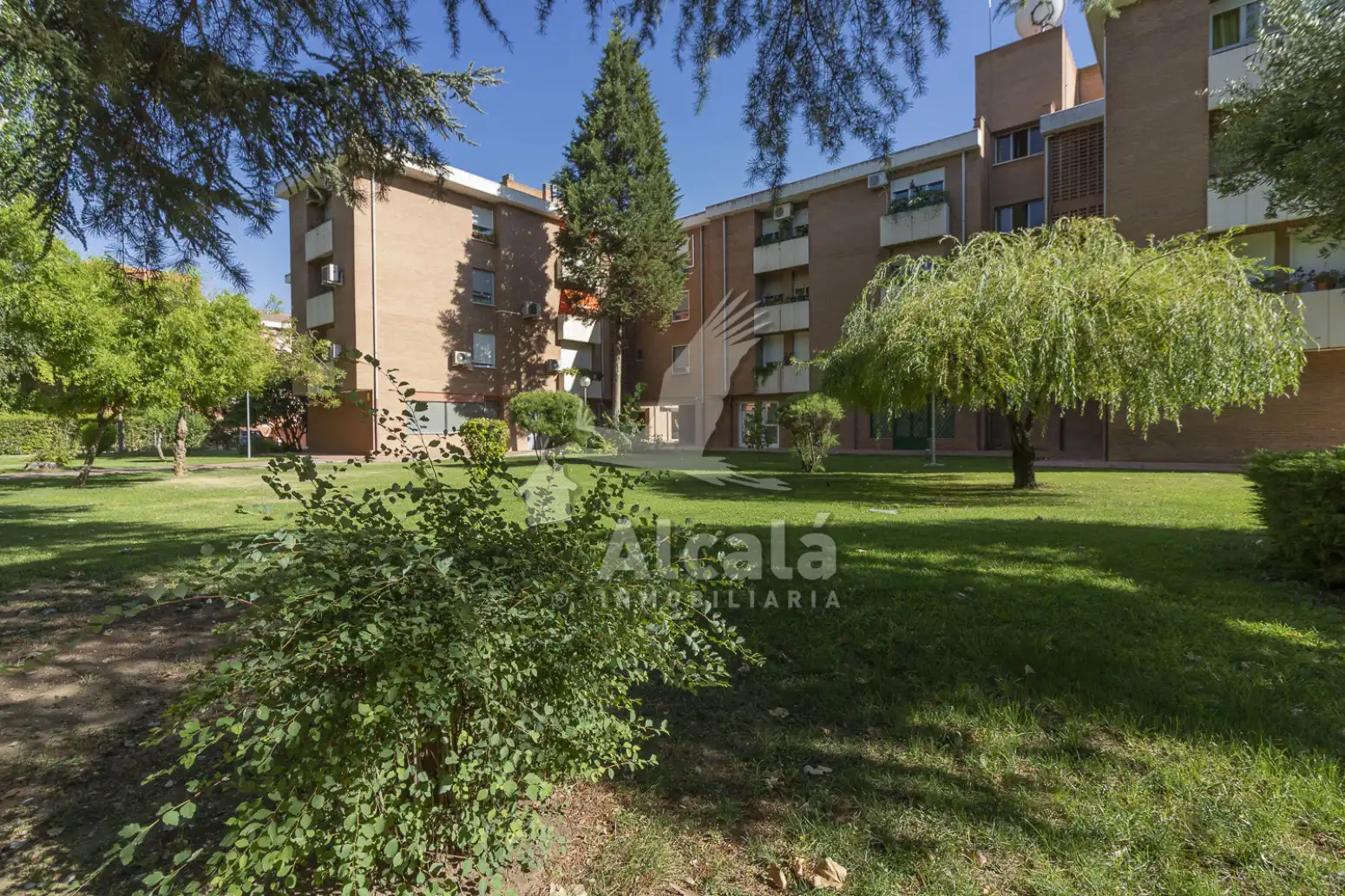 Vista exterior de Pis en venda en Alcalá de Henares amb Aire condicionat, Calefacció i Moblat