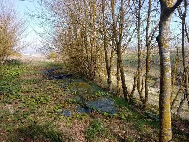 Terreny rústic en venda a Iruraiz-Gauna, imagen 6