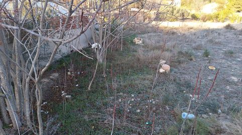 Foto 3 de Terreno en venta en Villafranqueza, Alicante / Alacant