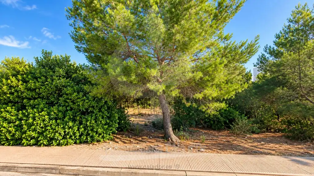 Rural land for sale in Cala d'Or