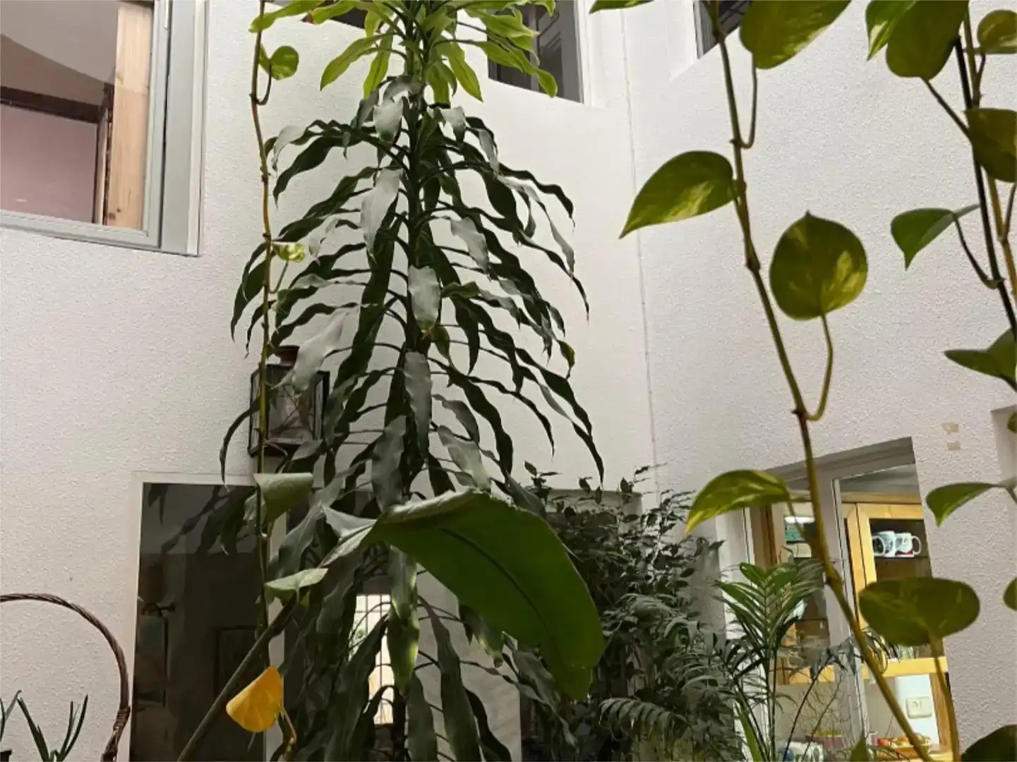 Piso en venta en  Madrid Capital con Aire acondicionado, Piscina y Balcón