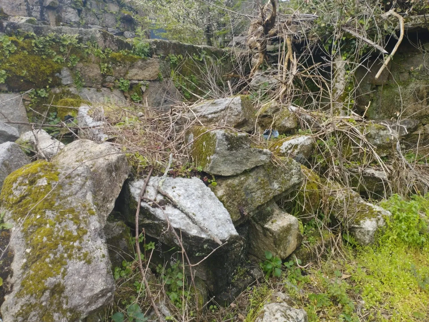 Finca rústica en venda a Vilanova de Arousa